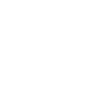 Privacy Policy icon WH